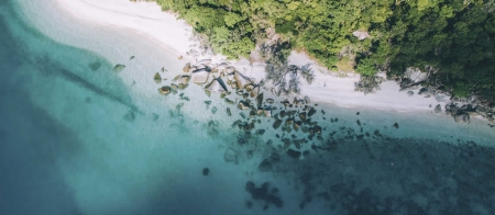 a flock of sheep in a body of water