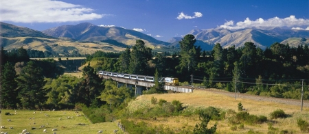 a train on a lush green hillside